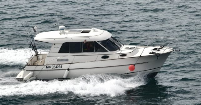 Encore une belle pêche en mer sur “la Marie Galante”